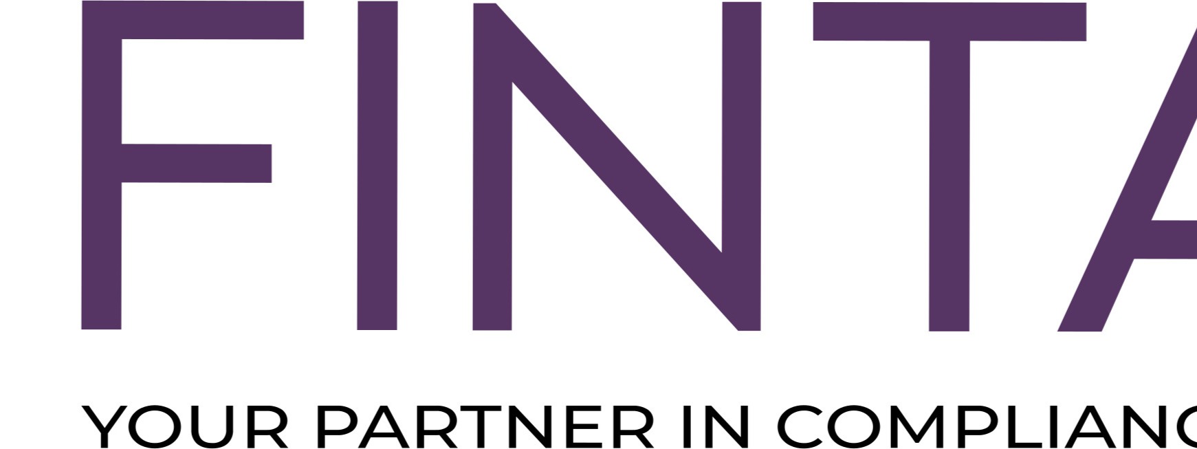 German Fintax Consultancy banner