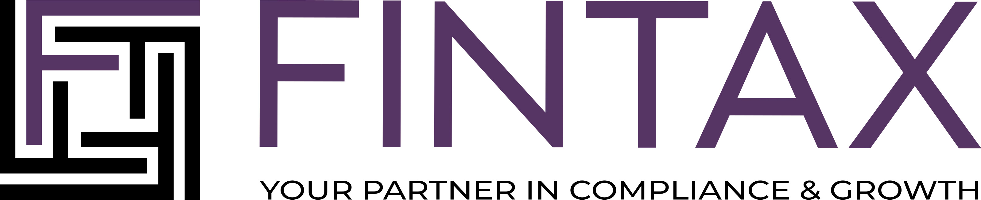 German Fintax Consultancy