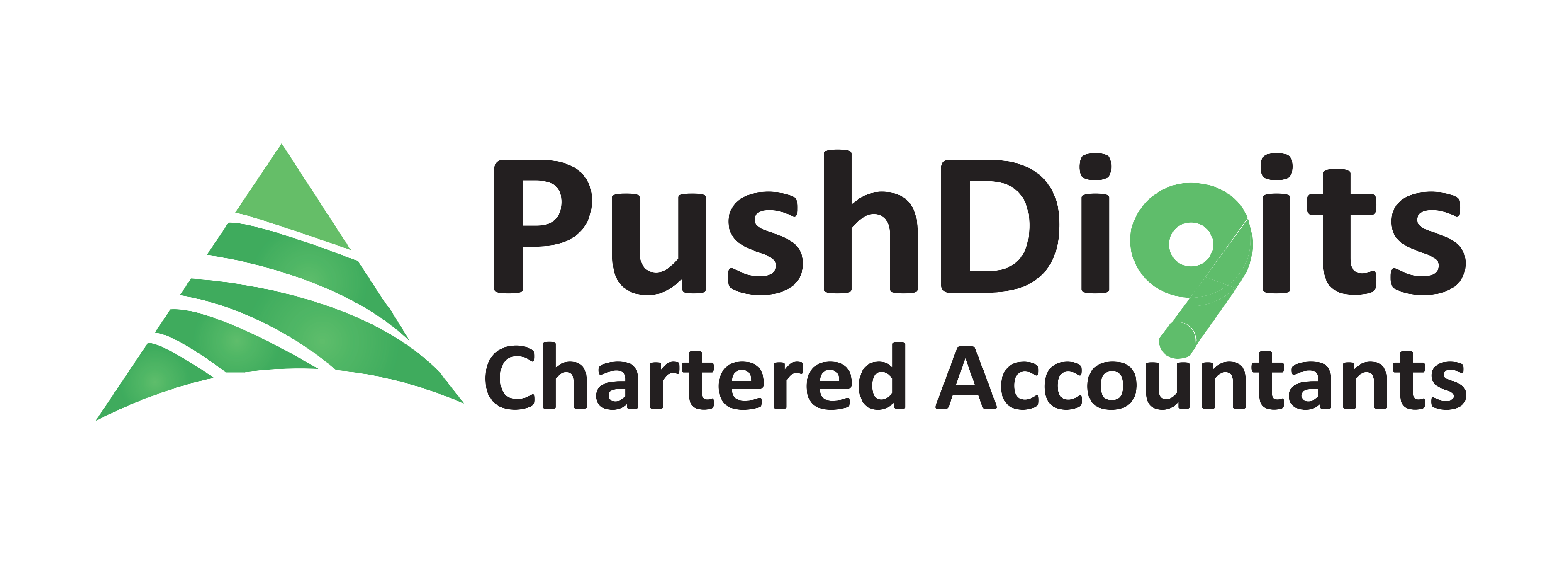 Push Digits Chartered Accountants LLC